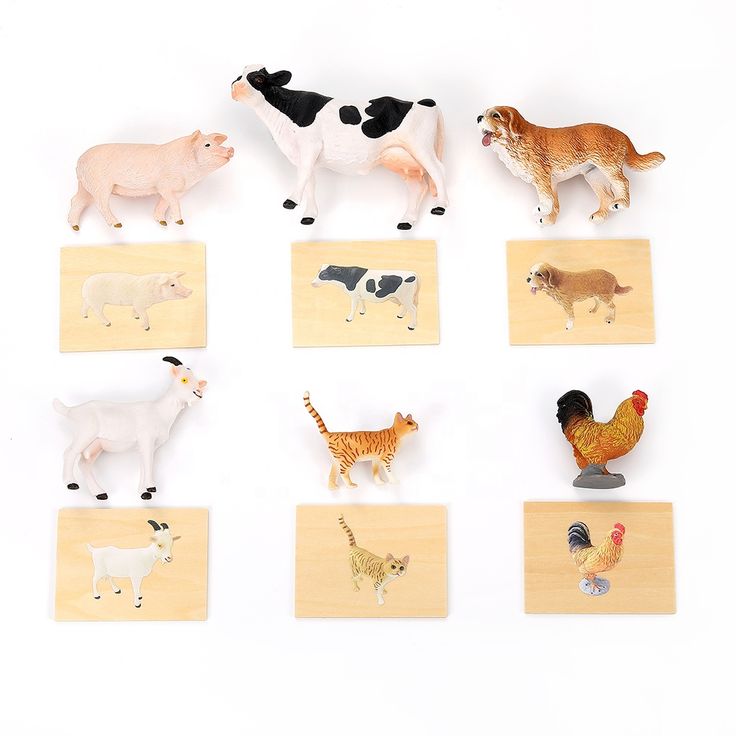 Parent and toddler looking at realistic animal flashcards and matching miniature wooden animal figurines