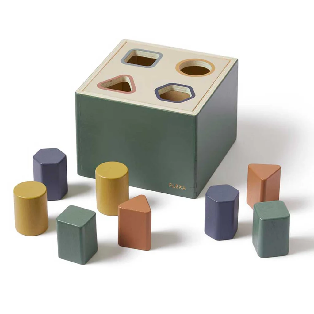 Wooden Montessori shape sorting box with geometric pieces