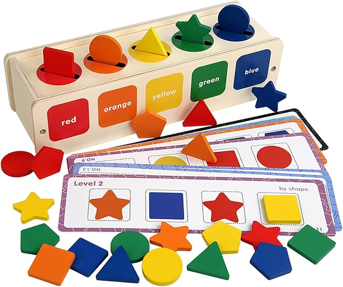 Montessori wooden colour and shape sorting toy for toddlers